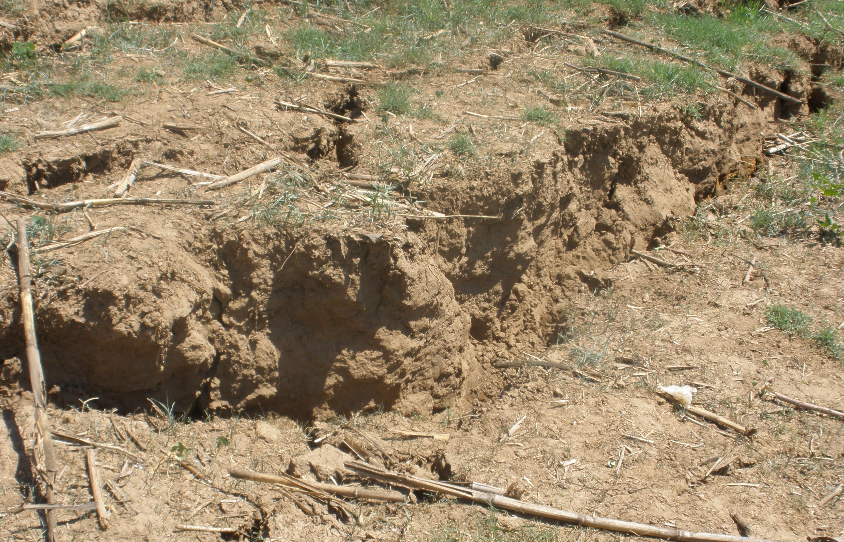 Cave Shelter during Spring Tuff Study