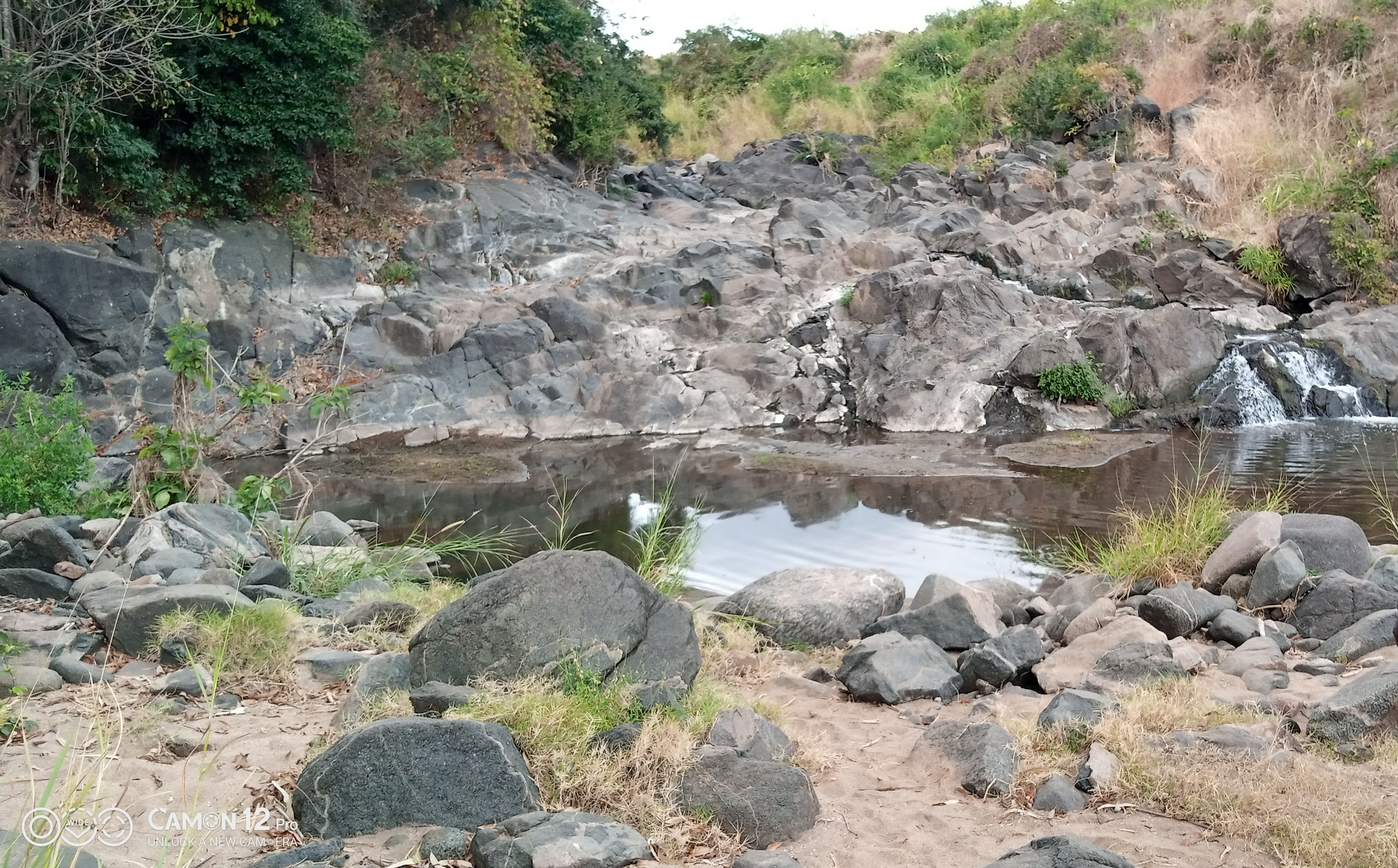 Data Analysis Workshop